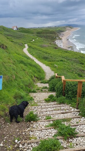 Quang cảnh nhìn từ nơi lưu trú