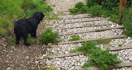 Dunseverick Ramblers Rest