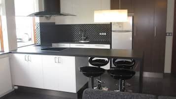 Studio | Private kitchen | Fridge, microwave, oven, stovetop