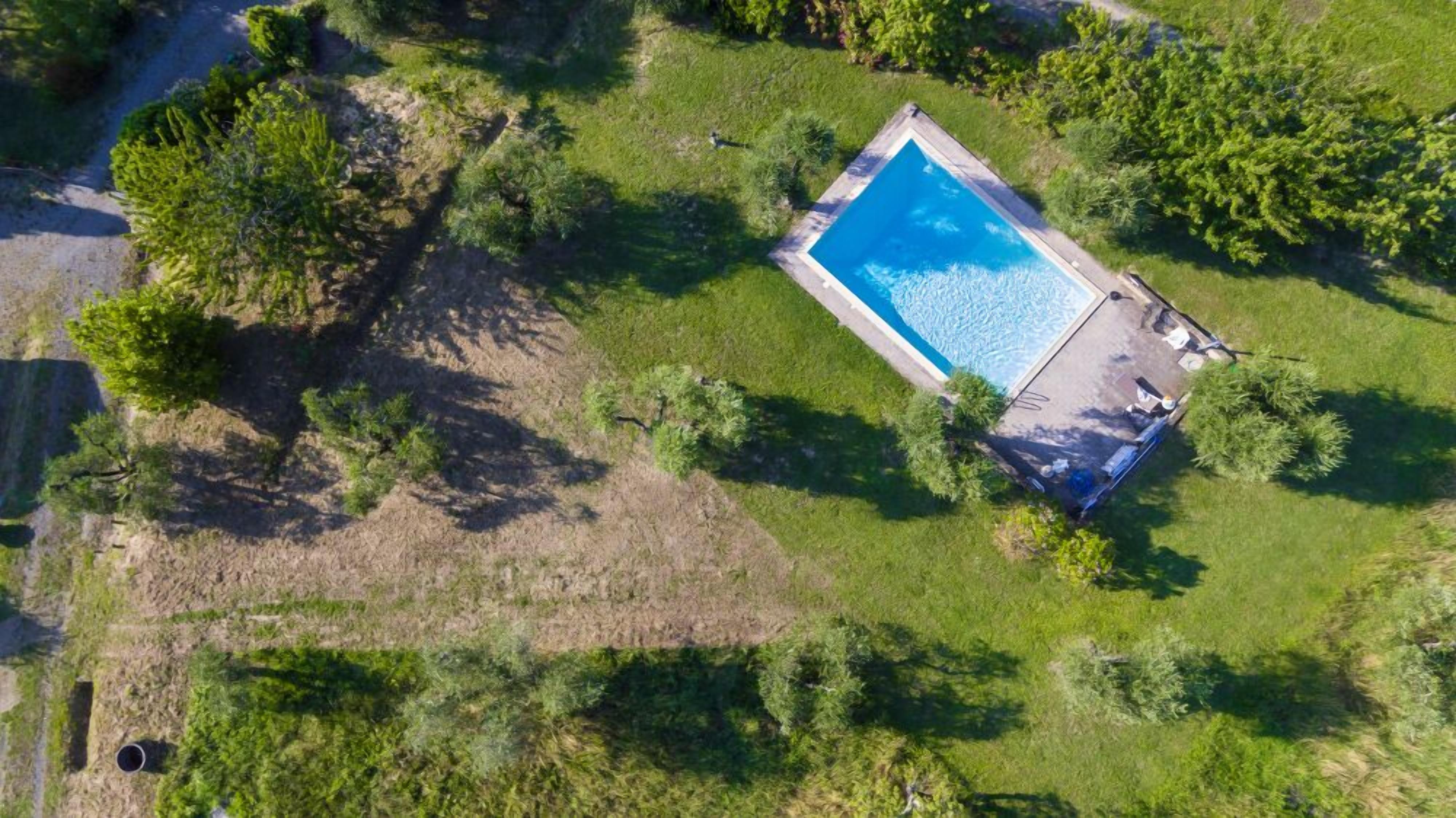 An aerial view of a rectangular swimming pool surrounded by grass and trees.