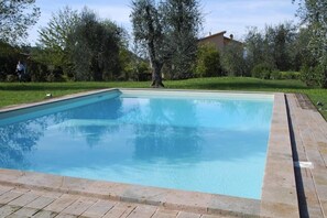 Una piscina rectangular con borde de azulejos, rodeada de césped y árboles.