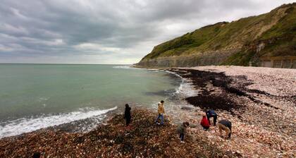 Chambre D'hĂŽtes Pomme Cannelle - Premium