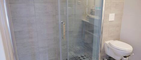 A bathroom with a glass-enclosed shower, a toilet, and patterned floor tiles.
