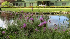 A green building with a pond and purple flowers in the foreground. - Bethlehem Centre (Nanaimo)