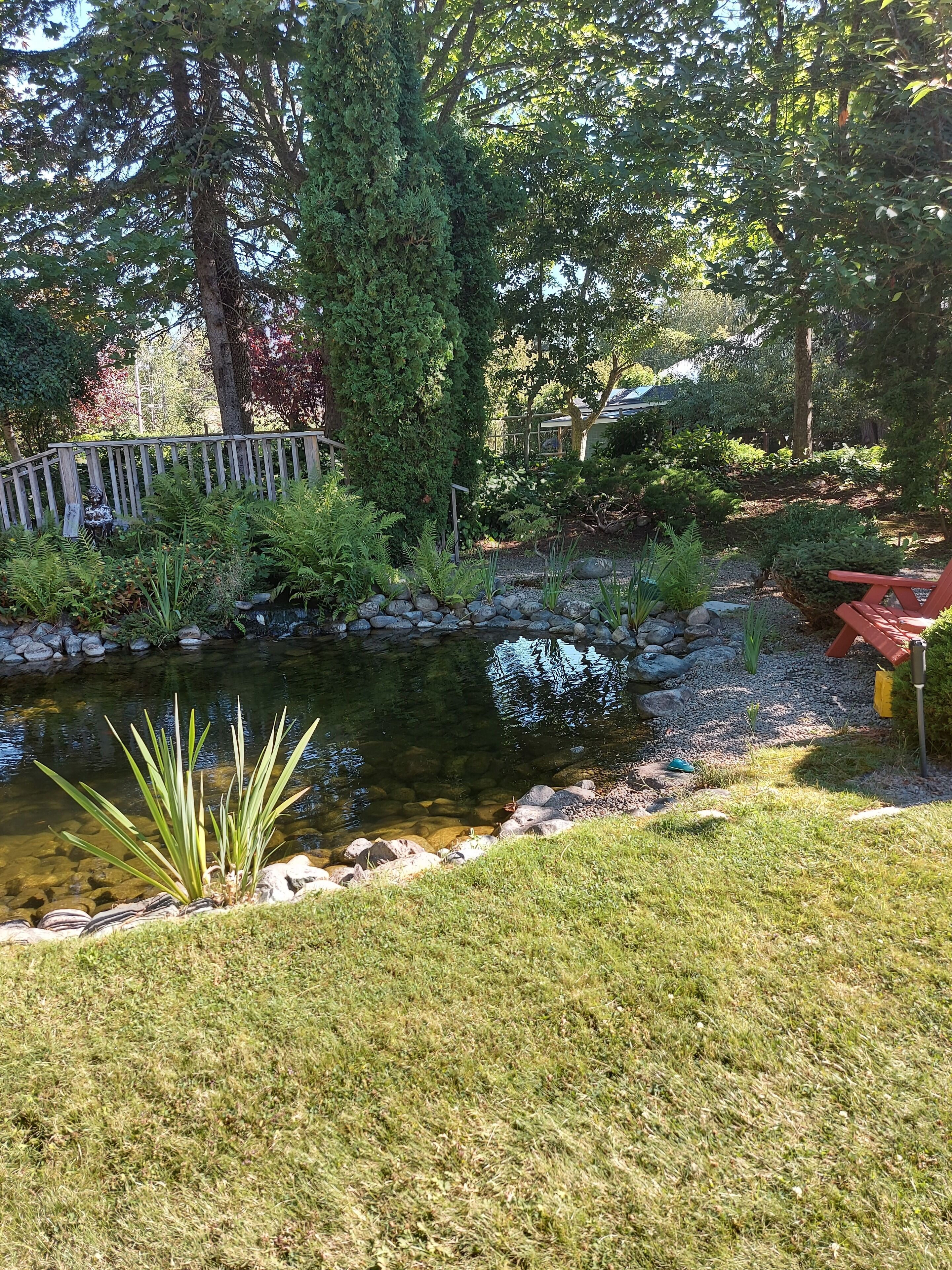 A garden with a pond, a wooden fence, and a red chair.