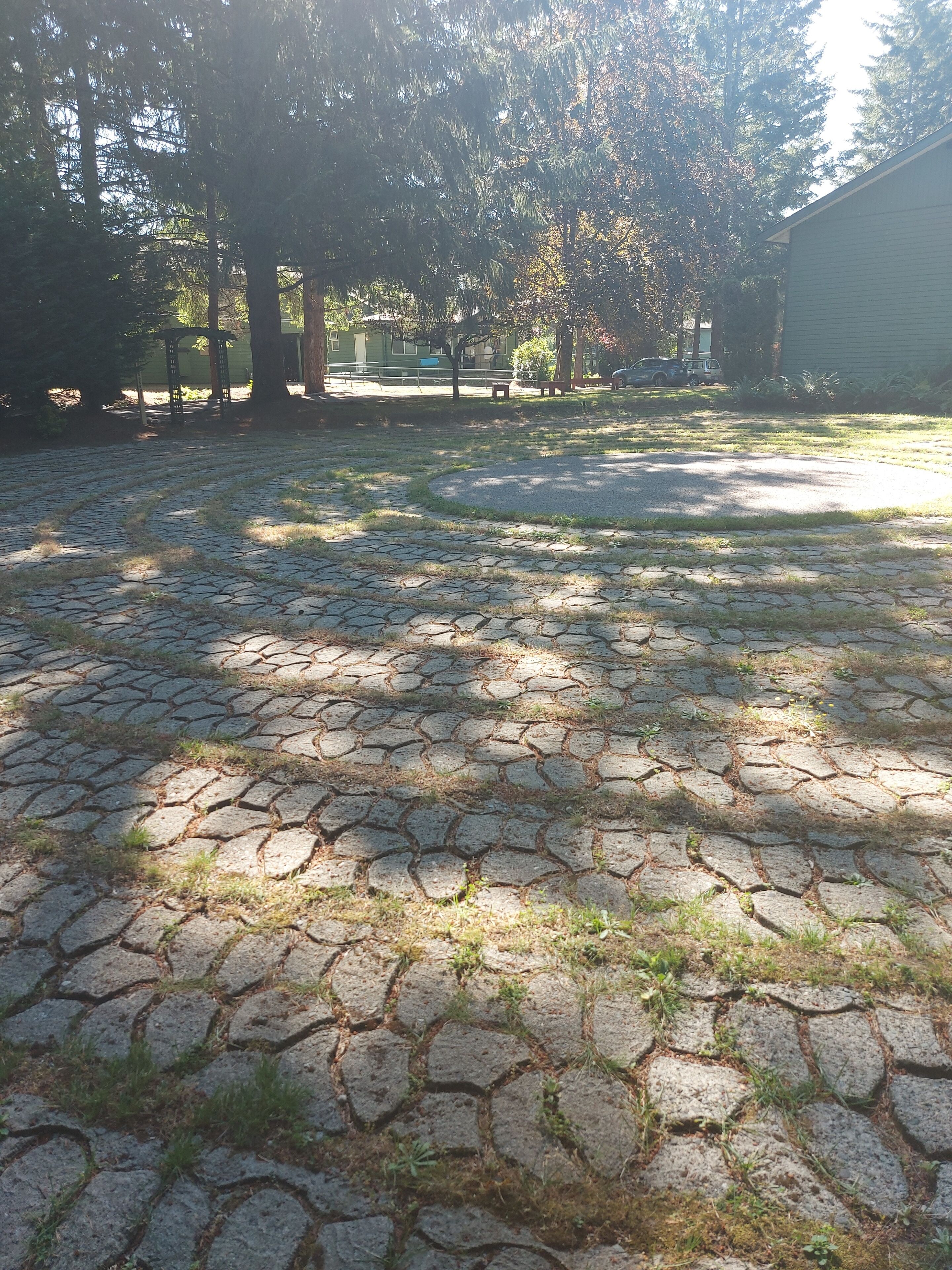 A paved courtyard with stone tiles, surrounded by trees and a building.