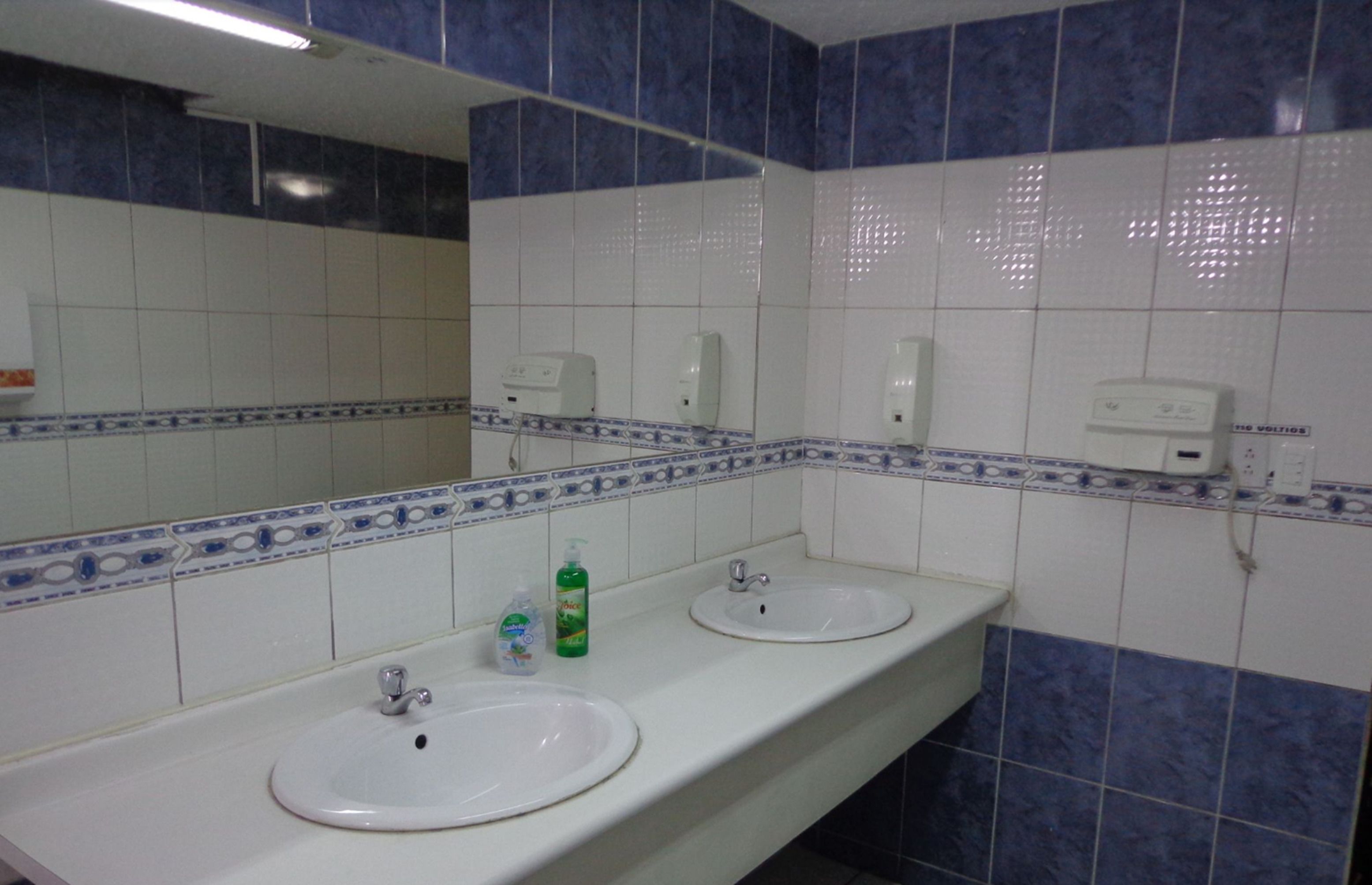 A bathroom with two sinks, a mirror, and hand soap dispensers.