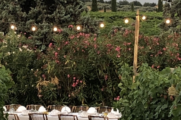 Área para eventos al aire libre