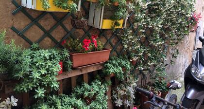 Traditional stone townhouse. Full of charm. Feel like a treasured family guest!