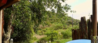 Tongariro Cottage, Søt og rustikk sjarm 
