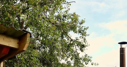 Tongariro Mökki, Söpö ja maalaismainen vanhan maailman charmia