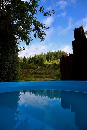 Pool - Cozy Cottage w/ Wood Fired Hot Tub. Pet Friendly. (Raurimu)