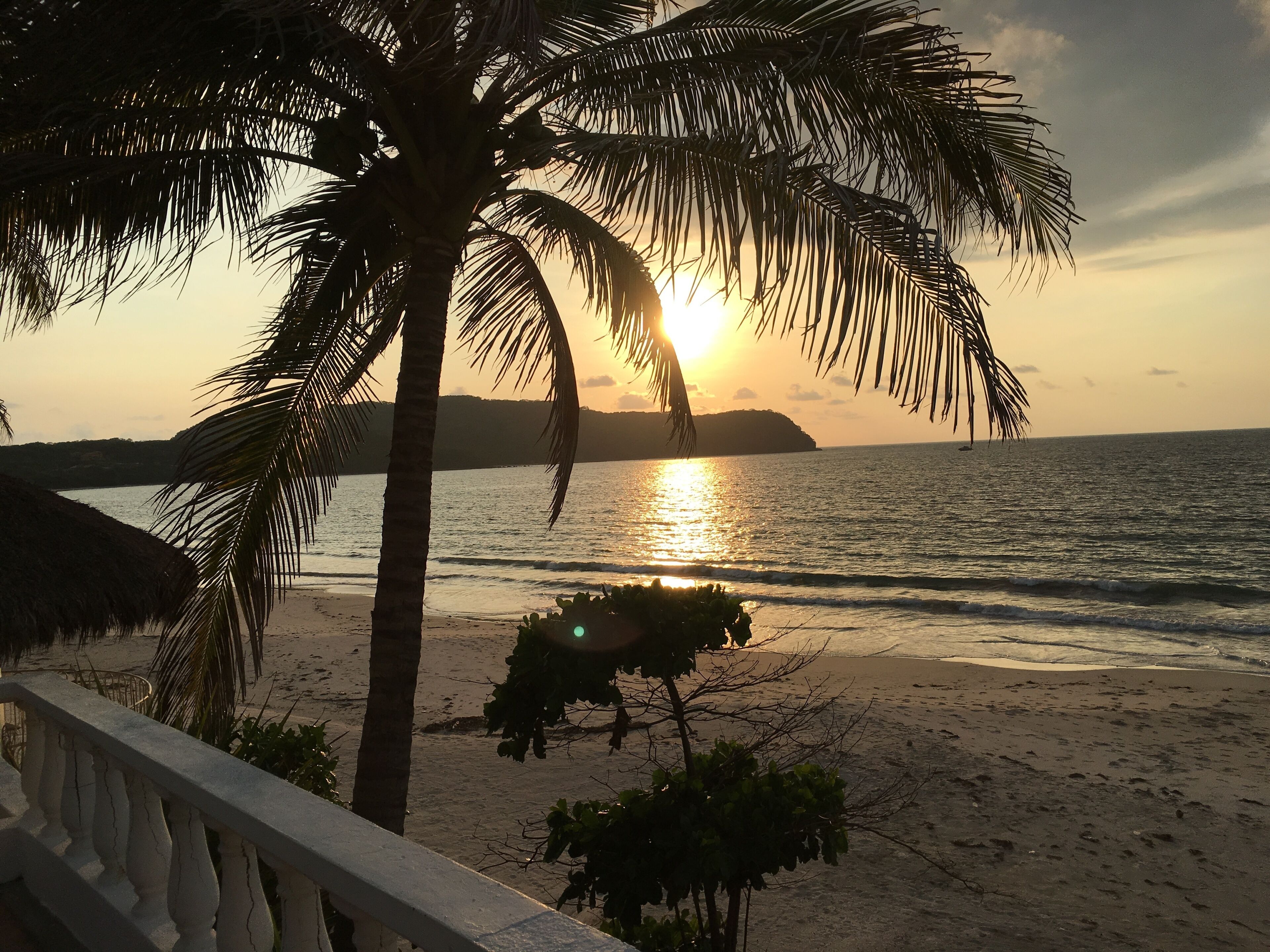 A beach view with palm trees and a sunset over the ocean.