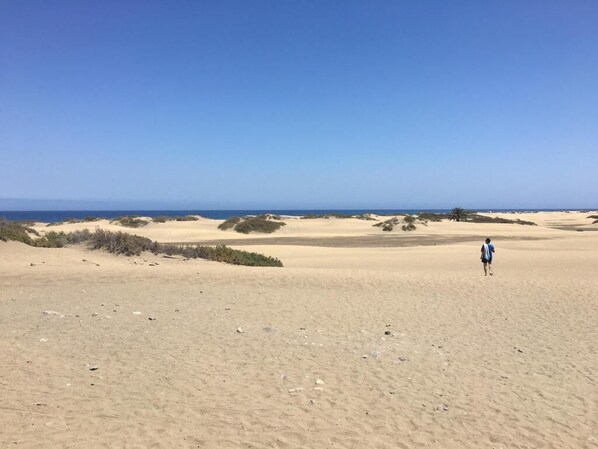 Strand