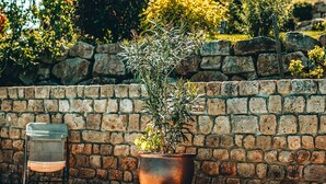 A swimming pool with a stone wall and a potted plant. - gite / house ardéchoise of character with swimming pool (Labatie-D'andaure)