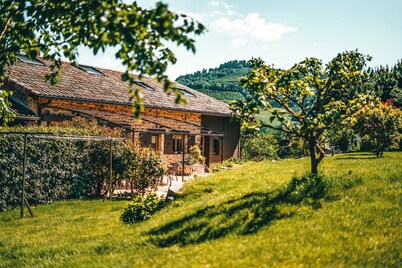 gite / house ardéchoise of character with swimming pool