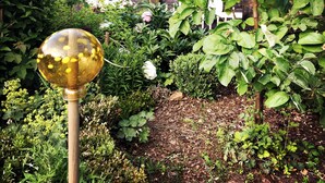 Un jardín con una casa de madera, un objeto decorativo esférico y diversas plantas.