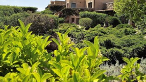 A building with a stone facade, surrounded by lush greenery and well-maintained bushes. - Holiday apartments L'Ea di Lavru 
Studio apartment TOP INTERIOR DESIGN (Porto San Paolo)