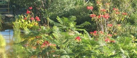 Terrein van de accommodatie