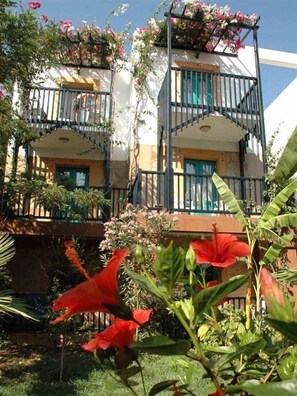 Detall de l'exterior