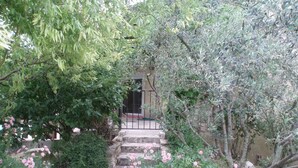 A stone staircase leading to a building entrance surrounded by lush greenery and pink flowers. - Spacious, pleasant house in the heart of a Provencal village (Le Pin)