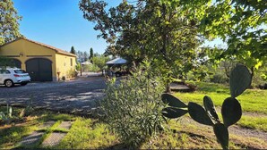 Immagine non classificata, 3 di 59, pulsante