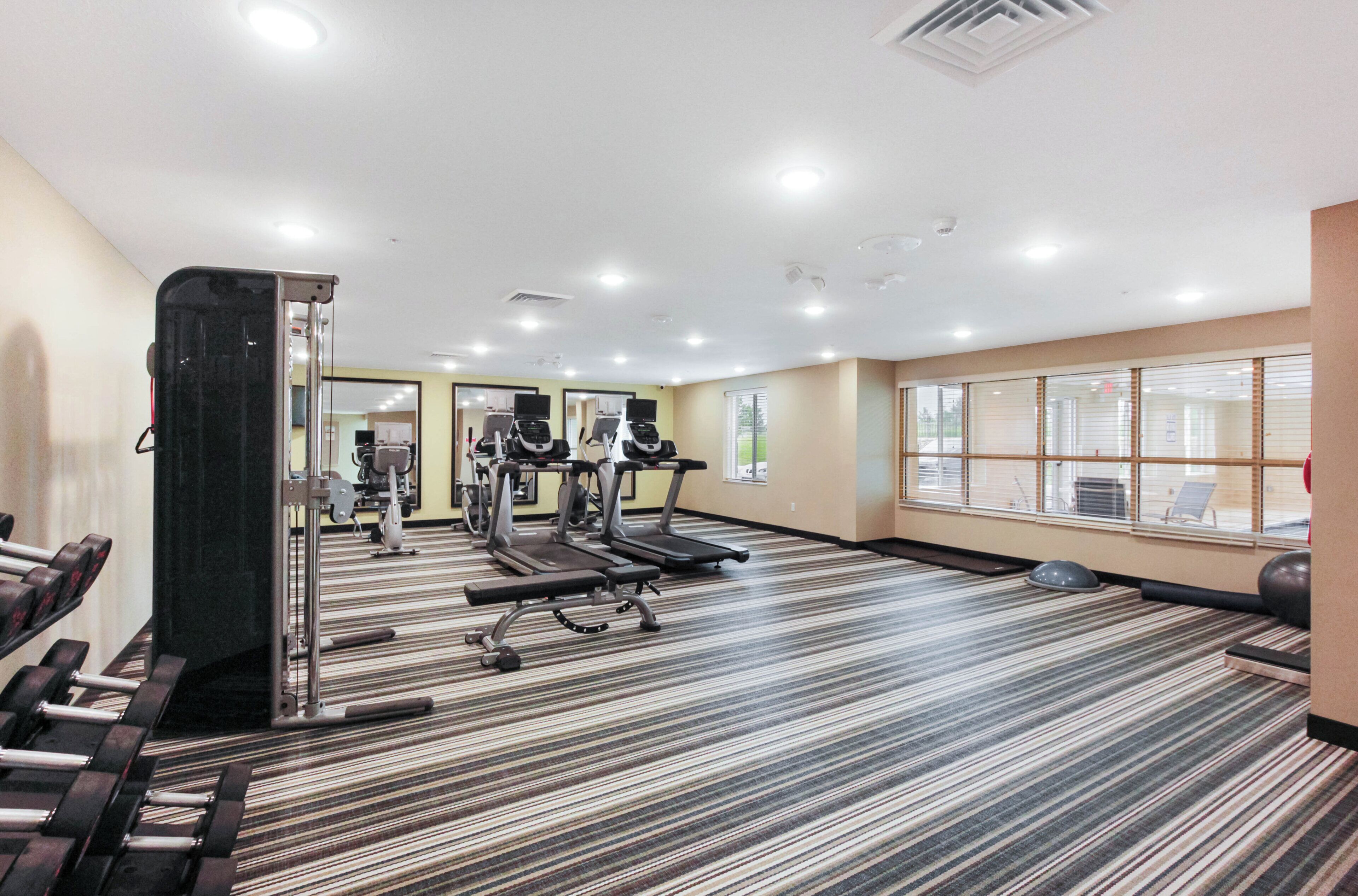 A gym with treadmills, weight machines, and dumbbells.