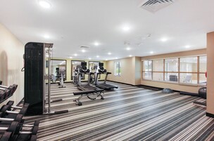 Un gimnasio con cintas de correr, máquinas de pesas y mancuernas.