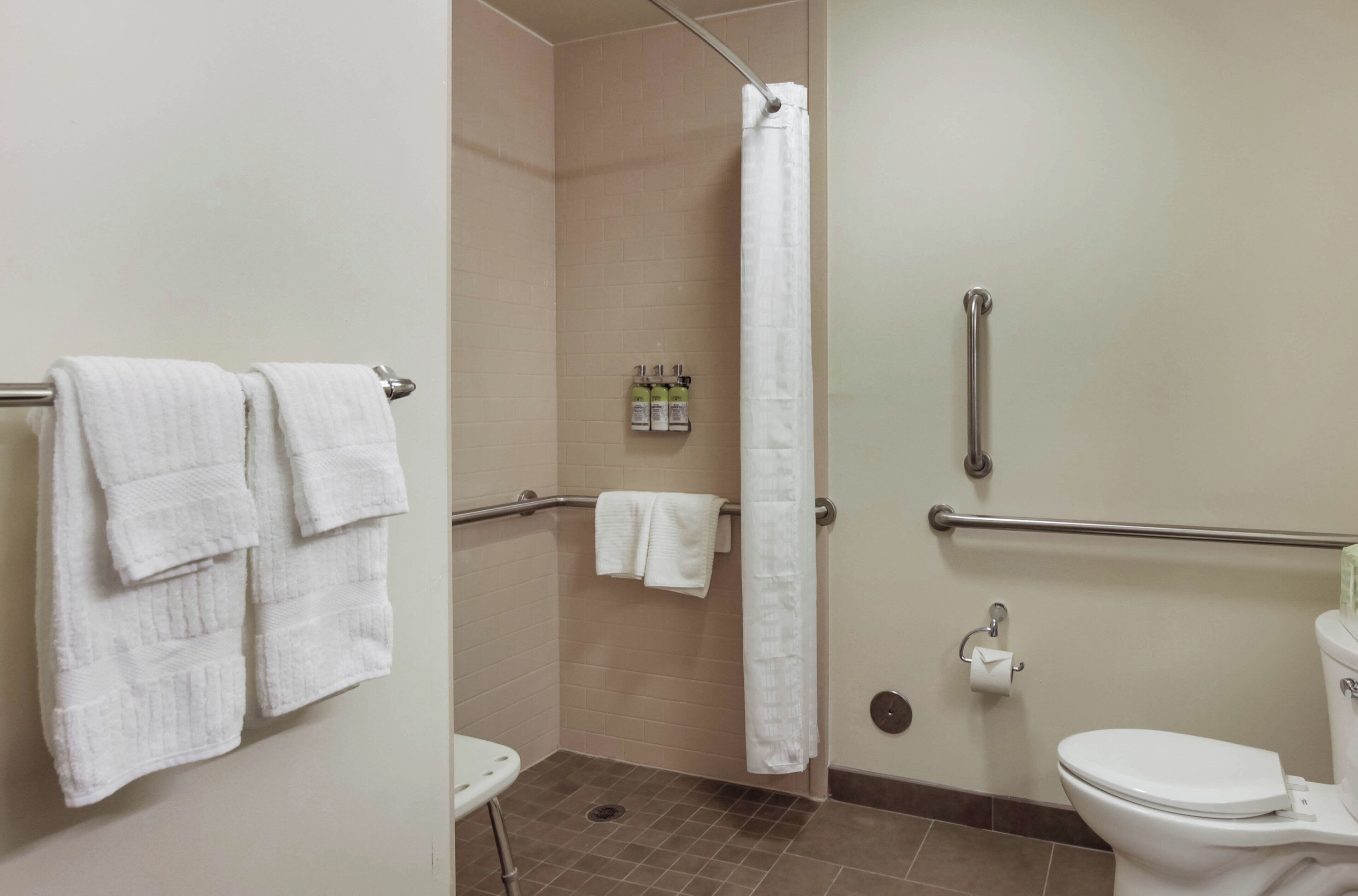 A bathroom with a shower, toilet, and handrails.