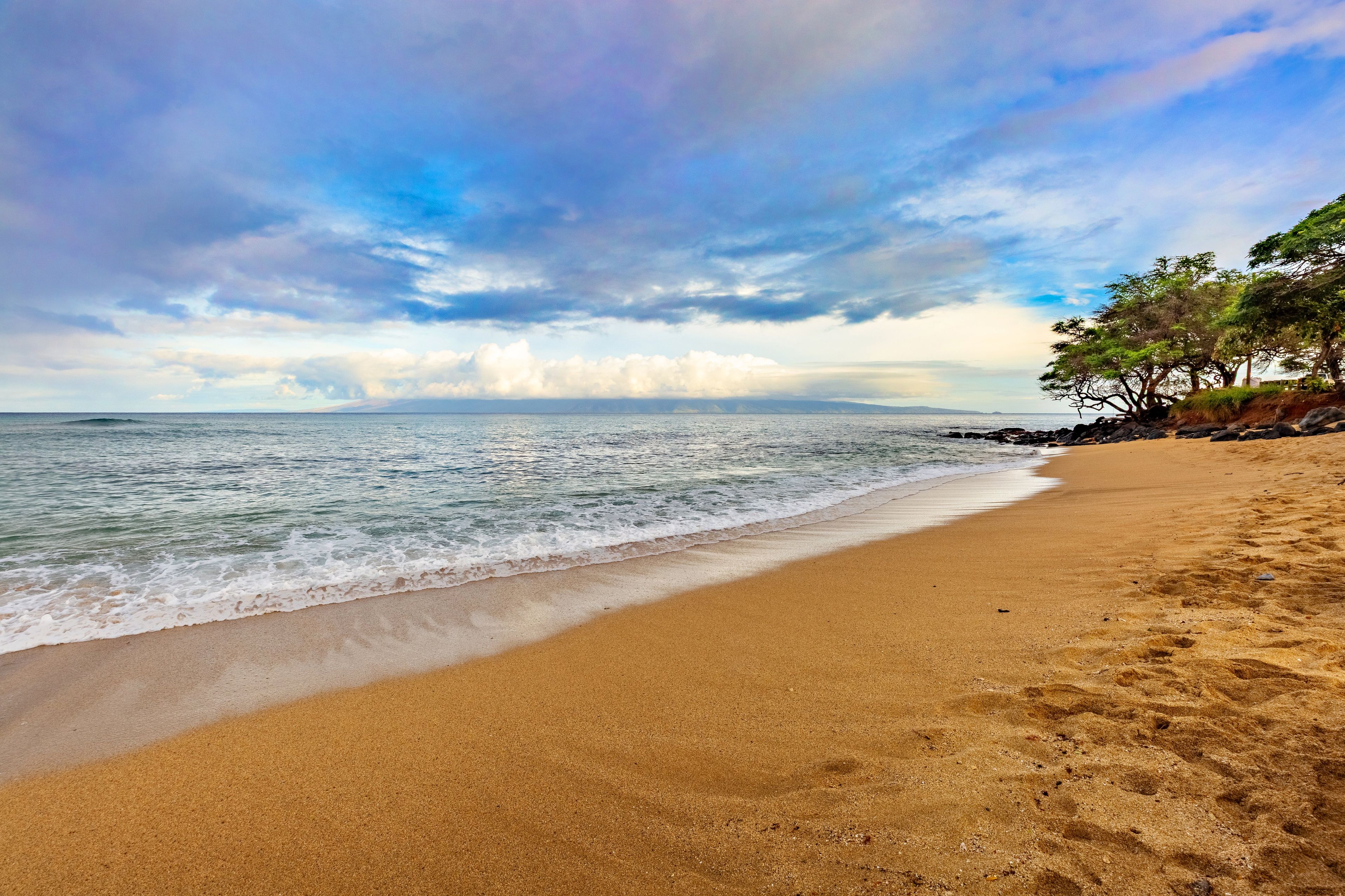 Une plage avec un rivage sablonneux et un promontoire rocheux parsemé d’arbres.