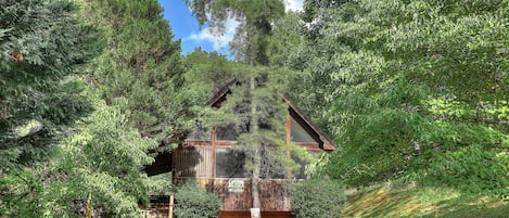 A cabin surrounded by dense forest, with a clear sky above.