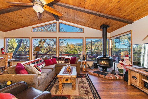 TV, fireplace, DVD player