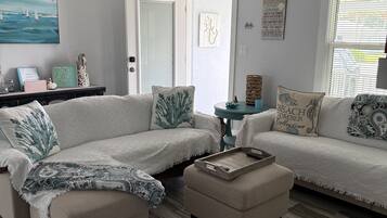 Smart TV, fireplace, DVD player, books