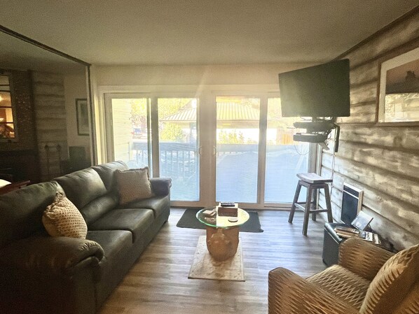 TV, fireplace, DVD player