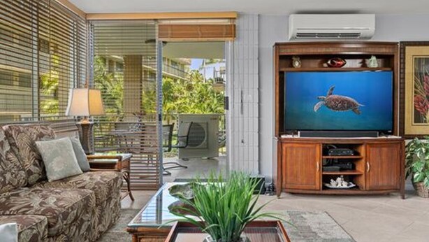 A living room with a sofa, coffee table, and TV stand. There is a plant on the coffee table and a TV displaying a turtle.