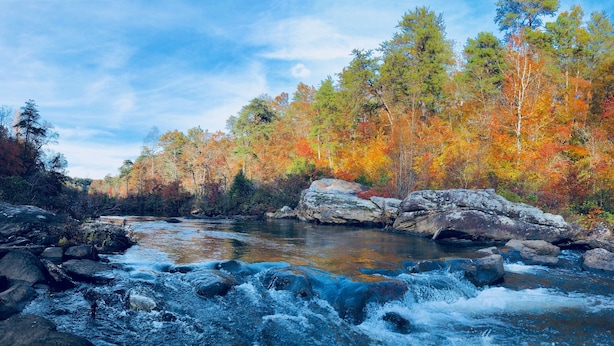 A river flowing through a forest with autumn foliage.