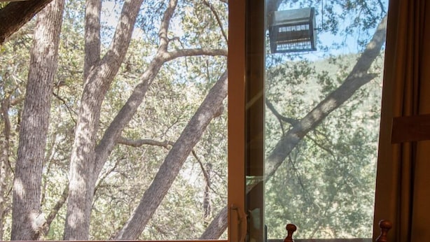 Una poltrona a dondolo vicino a un'ampia vetrata con vista sugli alberi.