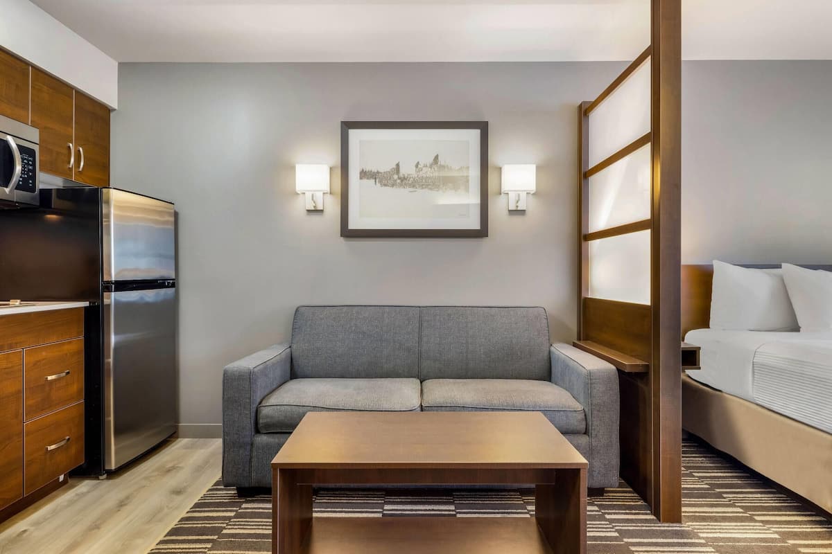 Une chambre d’hôtel compacte comprenant un coin cuisine, un canapé gris, une table en bois, un lit et un tableau encadré au mur.