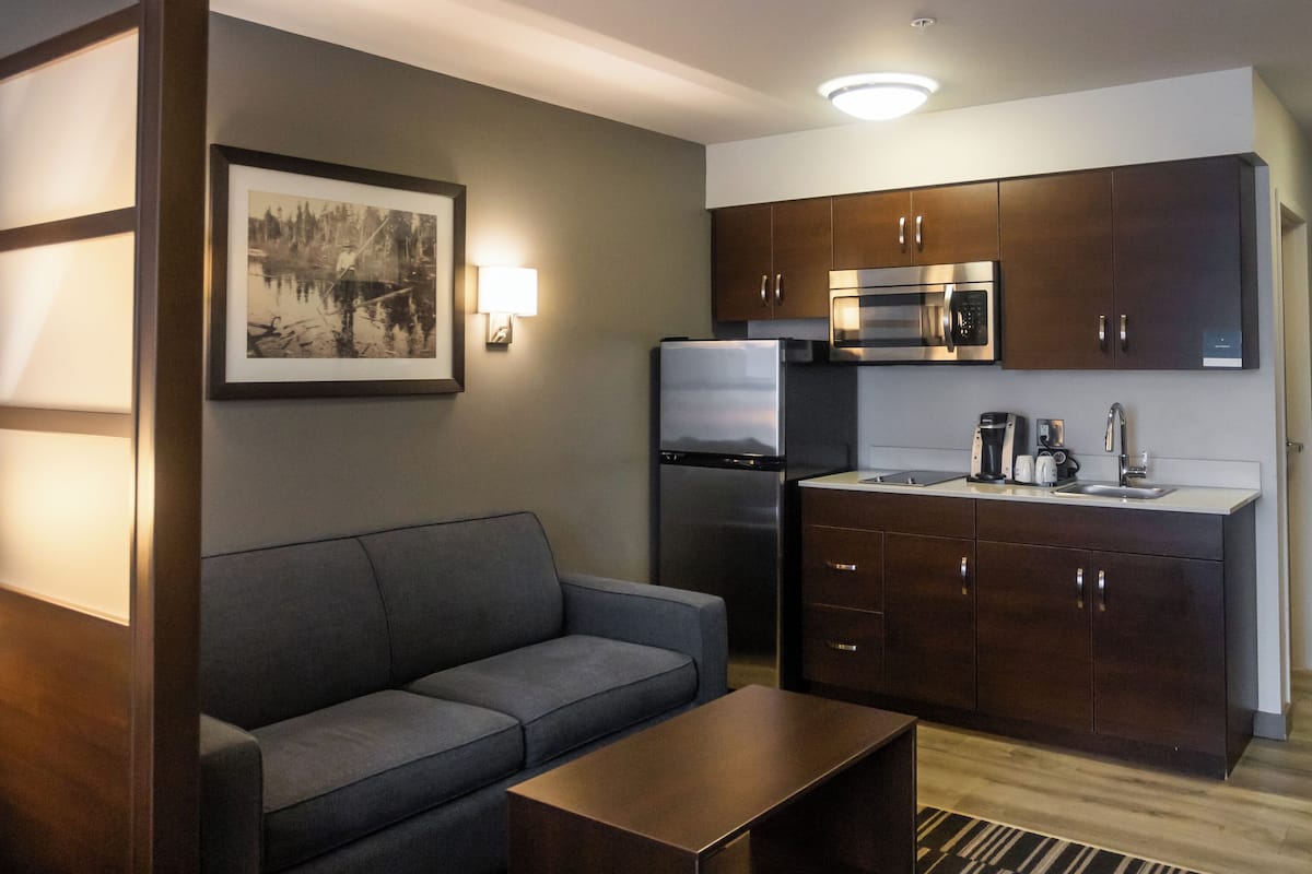 studio suite, 1 queen bed, non smoking, kitchen | pillow-top beds, desk, iron/ironing board, cots/infant beds