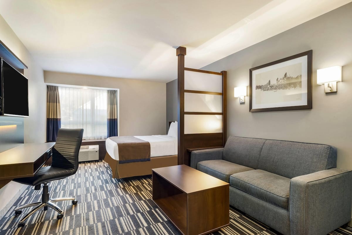 Business Room, 1 Queen Bed, Non Smoking | Pillowtop beds, desk, iron/ironing board, cribs/infant beds