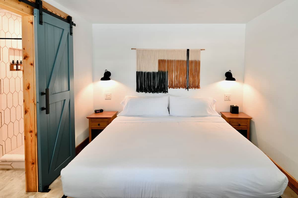 Habitación estándar, 1 cama King size, para no fumadores (108) | 1 habitación, insonorización y tabla de planchar con plancha