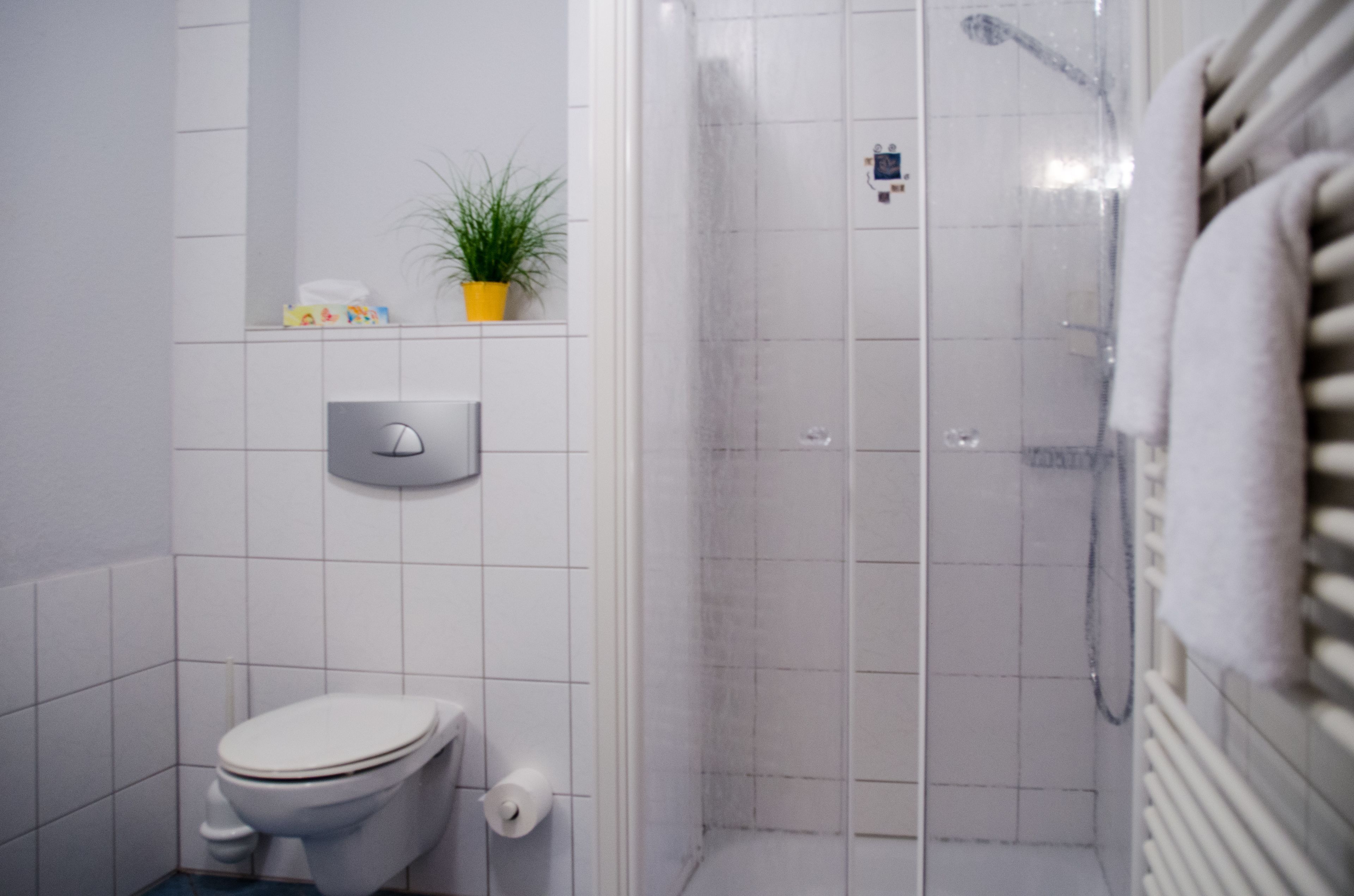 Une salle de bain avec des toilettes, une douche et une étagère sur laquelle est posée une plante.
