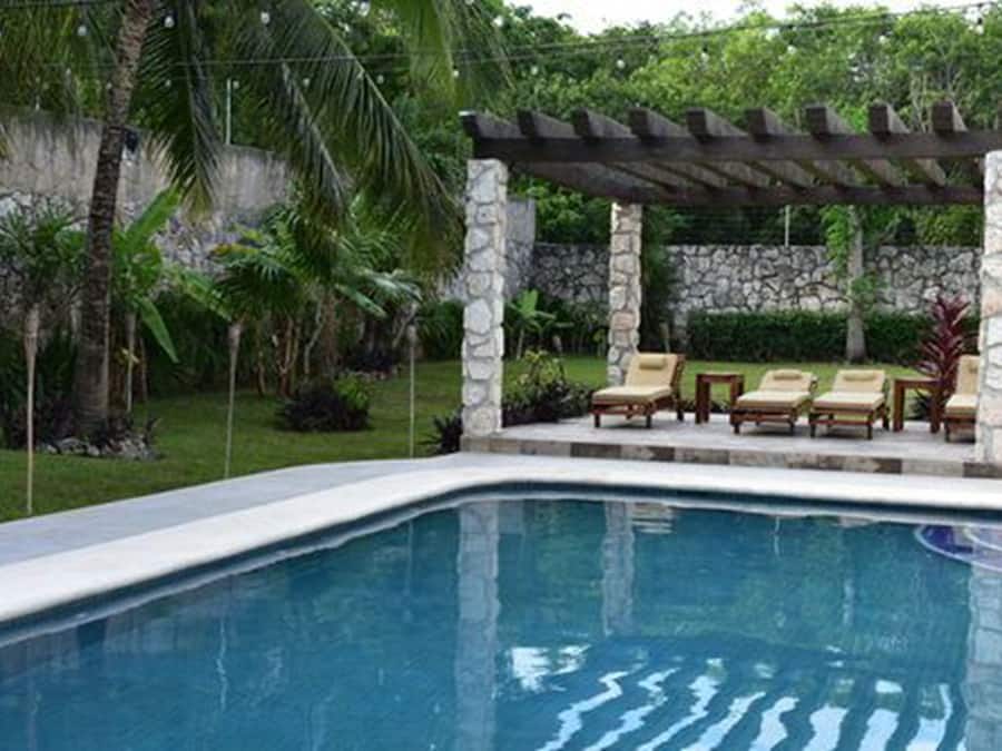 Outdoor pool, sun loungers