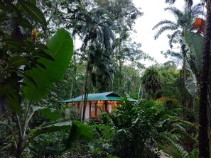 A rustic wooden house with a green roof nestled among dense tropical foliage. - Geckoes Lodge (Cahuita)