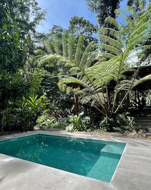 Panoramic-Haus, eigener Pool, Gartenblick | Eigener Pool
