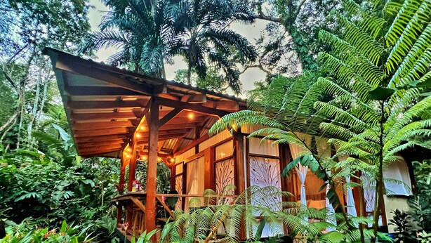 A wooden structure with a roof, surrounded by lush greenery and ferns.
