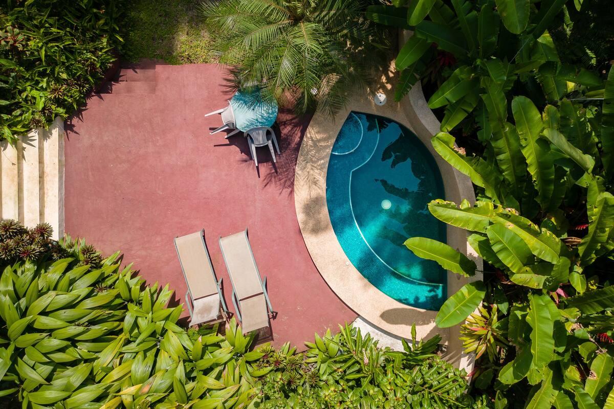 An aerial view of a swimming pool surrounded by lush greenery, with two lounge chairs and a table.