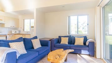 TV, fireplace, DVD player, books