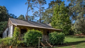 A rustic wooden house with a metal roof, surrounded by lush greenery and trees.