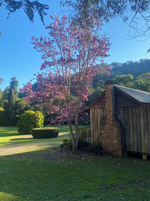 A wooden building with a brick chimney, surrounded by a well-maintained lawn and a flowering tree. - Magnolia Cottage @ Hidden Valley Retreat Cottages (Grose Vale)